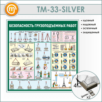     (TM-33-SILVER)